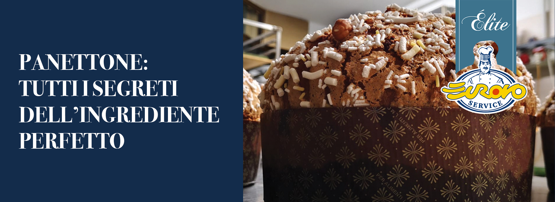 Panettone: tutti i segreti dell’ingrediente perfetto